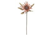 Sisustus - Bloomingville Protea - 82072832