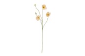 Sisustus - Bloomingville Poppy - 82072833