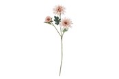 Sisustus - Bloomingville Chrysantemum - 82072834