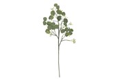 Sisustus - Bloomingville Eucalyptus - 82072835