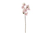 Sisustus - Bloomingville Chrysantemum - 82072846