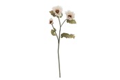 Sisustus - Bloomingville Chrysantemum - 82072847