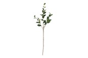 Sisustus - Bloomingville Eucalyptus - 82072850