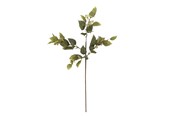 Sisustus - Bloomingville Eucalyptus - 82072851