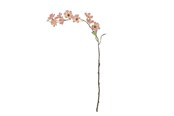 Sisustus - Bloomingville Wild Cherry - 82072852