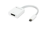 Näyttökaapeli - OWC NewerTech - video adapter - USB-C to DisplayPort - 10.8 cm - NWTADPTCDP14