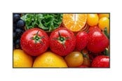 Infonäytöt & Digitaaliset opasteet - Neovo AG QM5503 QM Series - 55" Class (54.6" viewable) LED-backlit LCD display - 4K - for digital signage - QM5530011M0000