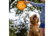 Koirat - Nobby TPR frisbee - Paw - L61531