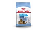 Koirat - Royal Canin Maxi Starter Mother & Babydog - 3182550778787