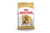 Koirat - Royal Canin E ADULT BOXER 26 12 kg - 3182550719766