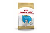 Koirat - Royal Canin French Bulldog Puppy - 3182550777674