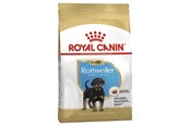 Koirat - Royal Canin E JUNIOR ROTTWEILER 31 12 kg - 3182550755351