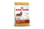 Koirat - Royal Canin Dachshund Adult - 3182550812016