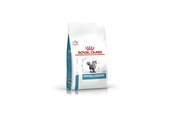 Kissat - Royal Canin VET FELINE HYPOALLERGENIC DR25 2.5 kg - 3182550939478