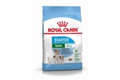 Koirat - Royal CANINE STARTER Mini 4 kg - 3182550932707