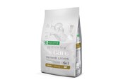 Koirat - Nature's Protection Superior Care White Dogs Grain Free Adult Small Lamb - dry dog food - 4 kg - 4771317458339