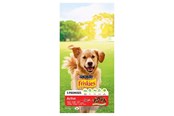 Koirat - PURINA NESTLE Friskies Active - dry dog food - 10 kg - 7613031395484