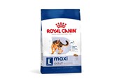 Koirat - Royal Canin Maxi Adult L - dry dog food - 4kg - 3182551055917