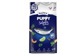Koirat - BALTICA Excellent Puppy Salmon Hypoallergenic Small breeds - dry dog food - 3kg - 5905996520318