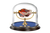 Fanituotteet - Harry Potter - Sorcerer's Stone Display - NN7386
