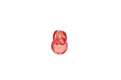 Parfyymit & Tuoksut - Bvlgari Omnia Coral Eau de toilette - 100 ml - 783320425493