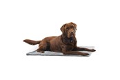 Koirat - KRUUSE Vet Bed Anti-slip grå 150 x 75 cm - 381616