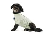 Koirat - KRUUSE BUSTER Body Suit Step´n Go For Dogs, S, Dusty Gree - 273741
