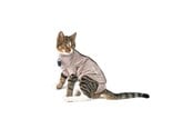 Kissat - KRUUSE BUSTER Body Suit Step'n Go kissalle, XXXS - 273946