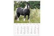 Kalenteri - Mayland Vægkalender Heste 2027 - 27066310