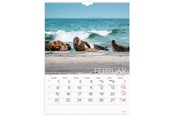 Kalenteri - Mayland Vægkalender Verdens dyr 2027 - 27066330
