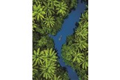 Palapelit - Clementoni Puzzle HQC Tropical Aerial View 500 pieces Lattia - 35520