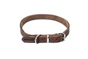 Koirat - Timely PRAG kaulapanta tummanruskea 16 mm. / 45 cm. - 5907784896995