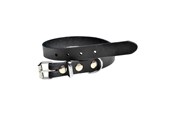 Koirat - Timely PRAG kaulapanta musta 16 mm. / 45 cm. - 5907784897091