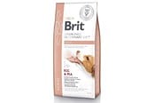 Koirat - Brit GF Veterinary Diets Renal - kuiva koiranruoka - 12kg - 8595602528189