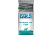 Koirat - Farmina VET LIFE DOG PUPPY GASTROINTESTINAL 12 kg - 8010276036933