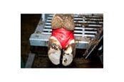 Hevonen - KRUUSE BOVIVET Hoof Bandage 10/pk - 220420