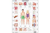 Palapelit - Larsen Puzzles Palapeli Meidän kehomme - 35-palainen, Maxi (36.5x28.5 - OB1