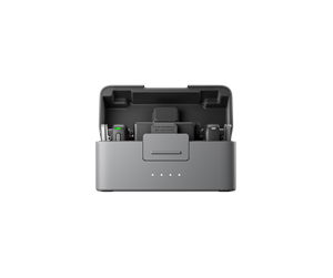 Mic Mini