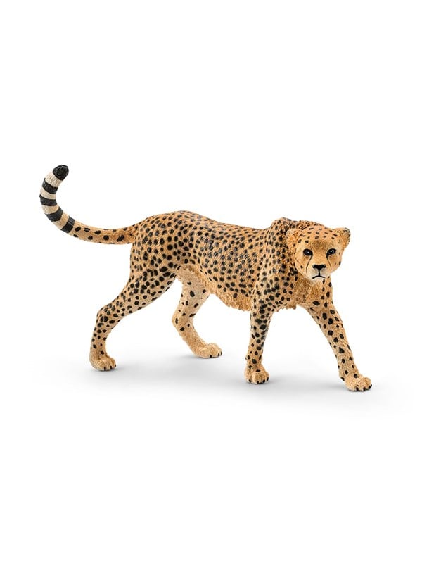 Schleich gepardinaaras