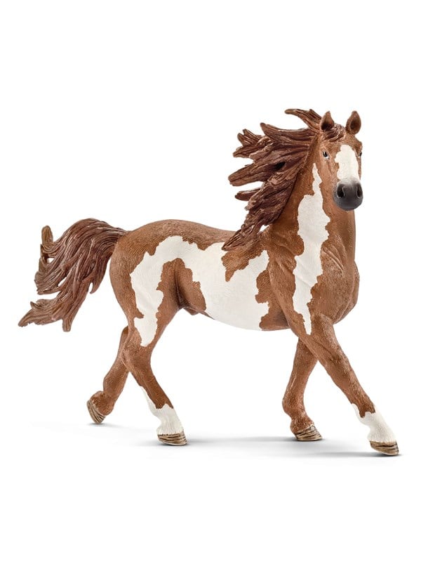 Schleich pinto ori