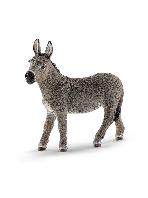 Schleich aasi