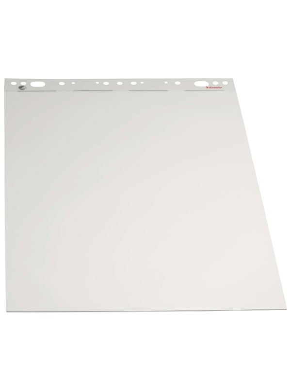 Esselte Lehtiötaulupaperi TMP 59x80cm bl