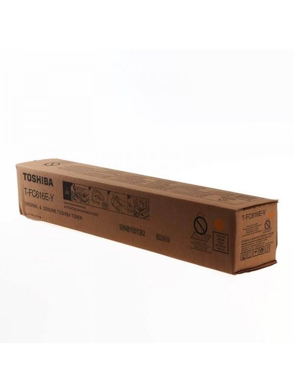 Toshiba T FC616EY