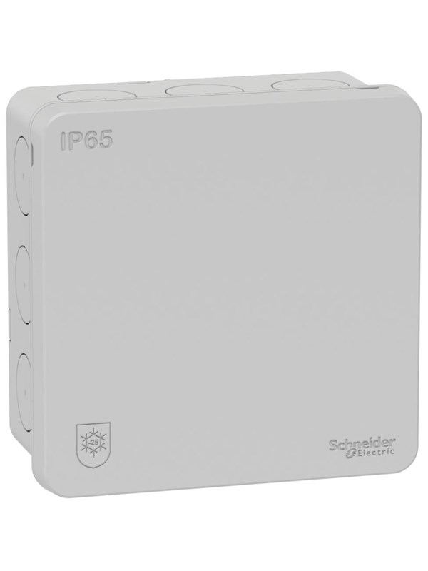 Schneider Electric Junction box ip65 light Harmaa
