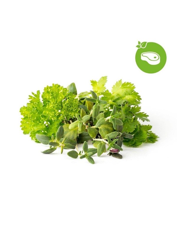 Click & Grow Älypuutarhan täyttöpakkaus, joka sisältää yhdeksän grilli- ja pihvisekoitusta.