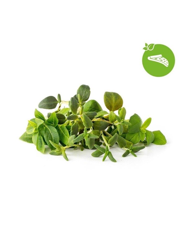 Click & Grow Smart Garden Refill 9-pakkaus Italialaisia yrttejä sekoitus