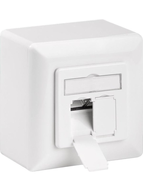 Pro CAT 6 Universal wall plate incl. on-wall mounting