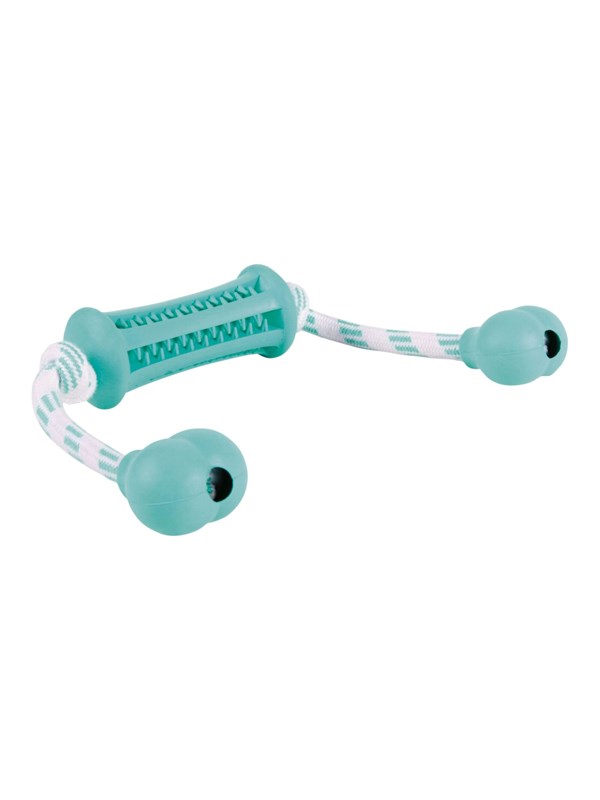 Trixie Denta Fun Stick with Rope - Mint Flavour 9x37cm