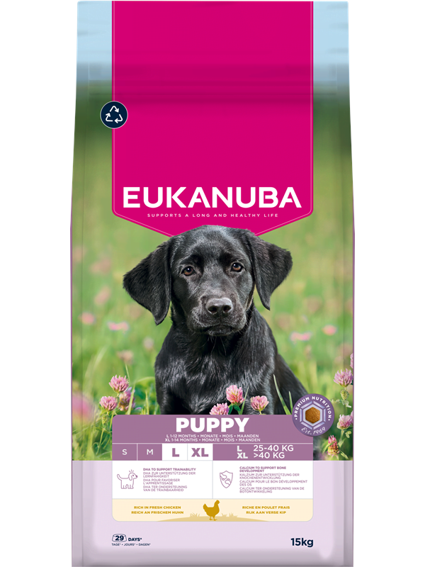 Eukanuba Puppy Large Breed Fresh Chicken 15kg