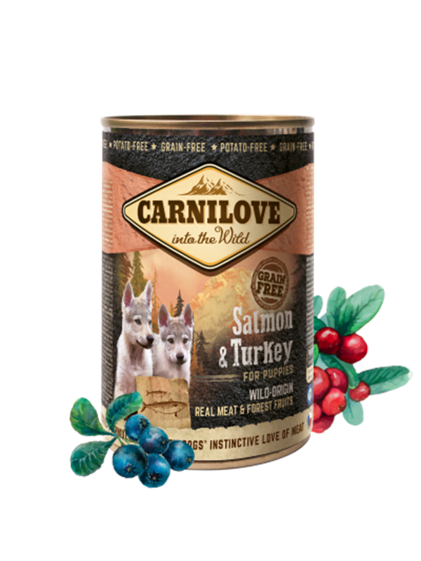 Carnilove Salmon & Turkey for Puppies 400g